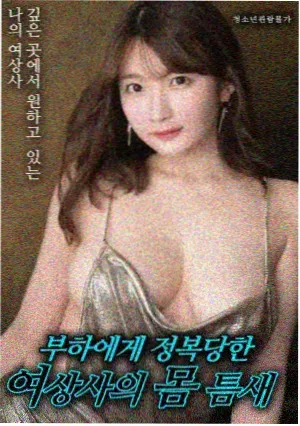 梦境编织者 电影海报